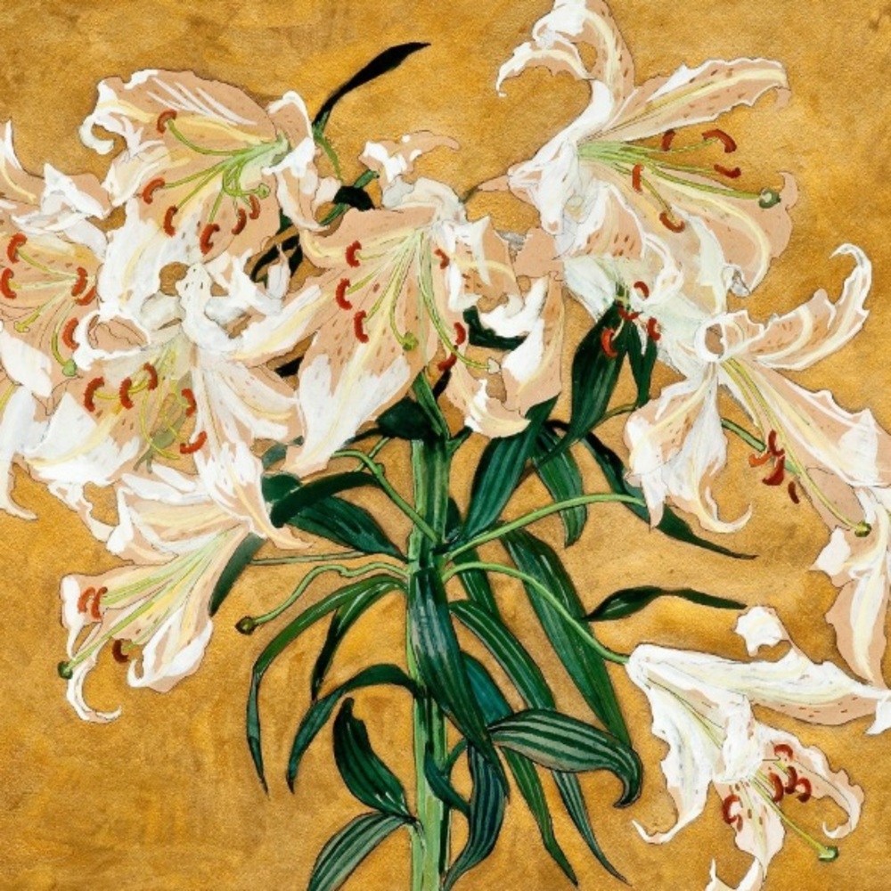 Meet your Posher, Namoliea